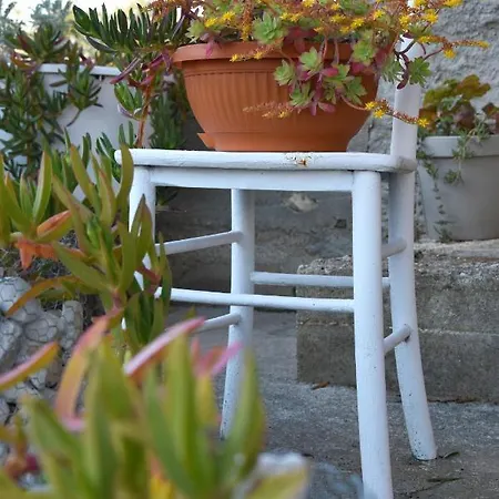 Greenvine * Zadar