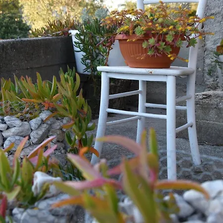 Greenvine Appartement