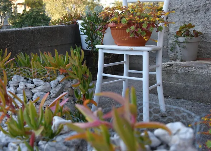 Greenvine Appartamento