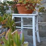 Greenvine * Ζαντάρ