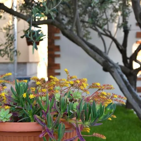 Apartamento Greenvine Zadar