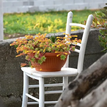 Apartamento Greenvine Zadar