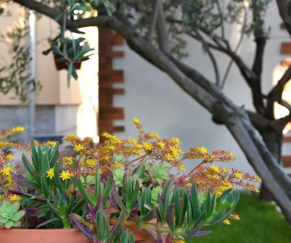 Apartmán Greenvine Zadar