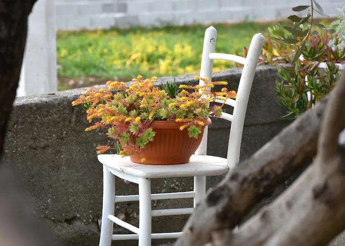 Апартаменты Greenvine Задар